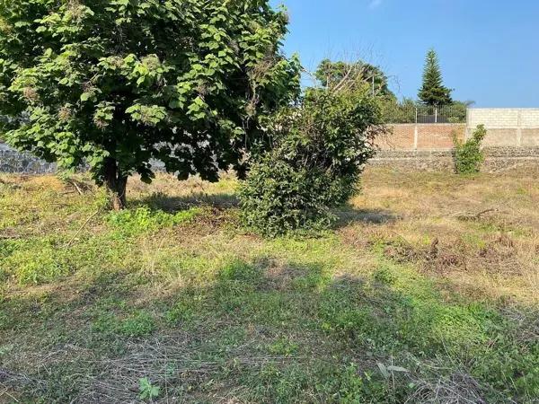TERRENO EN AHUATEPEC
