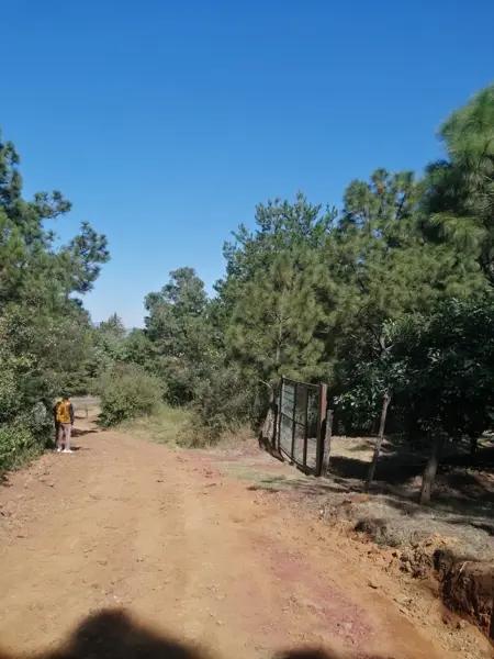 Terreno Comercial en Venta en San Miguel Nocutzepo, Michoacán