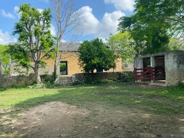 Rancho ganadero en operación, con cenote, infraestructura eléctrica,.