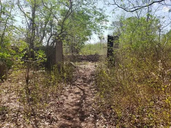 Terreno de 6,470 m2 en venta en Motul, Yucatán