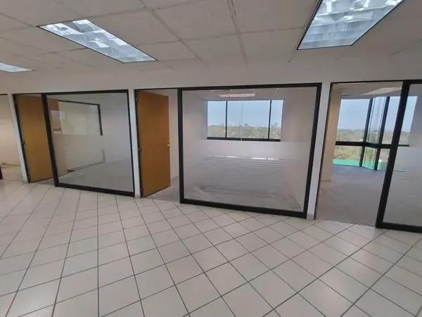 PEDREGAL OFICINAS EJECUTIVAS RENTA PEDREGAL OFICINAS EJECUTIVAS RENTA