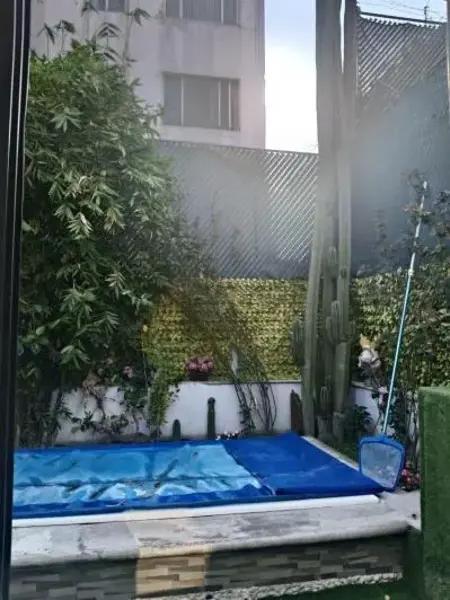 Preciosa casa
Espartaco
Coyoacán