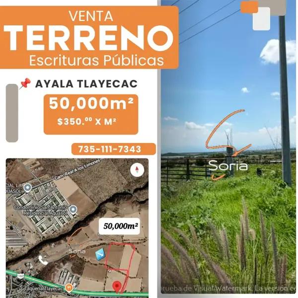 TERRENO  EN VENTA 
AYALA TLAYECAC  ESCRITURA PUBLICA