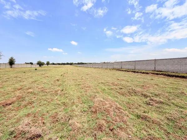 Terreno Industrial en Renta - Parque Industrial Chachapa 50,000 m2