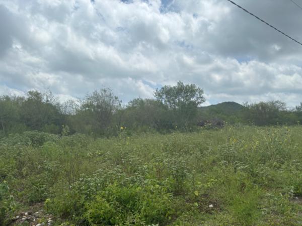 Terreno Campestre en Venta Cercano a la Carretera Nacional Terreno Campestre en Venta Cercano a la Carretera Nacional