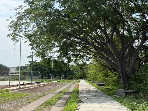 Terreno en venta en Comala, Comala, Colima