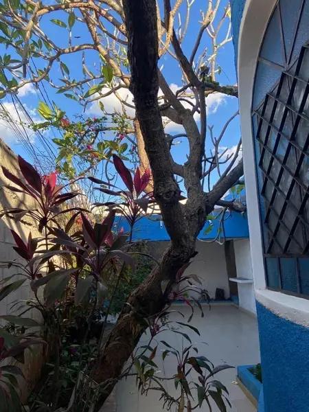 Casa en venta en Mérida Centro |400m2 de terreno Casa en venta en Mérida Centro |400m2 de terreno