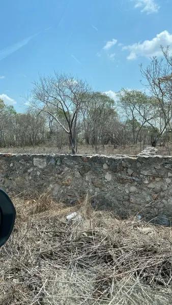 Terreno venta Chichi Suarez Mérida Yucatán Terreno venta Chichi Suarez Mérida Yucatán