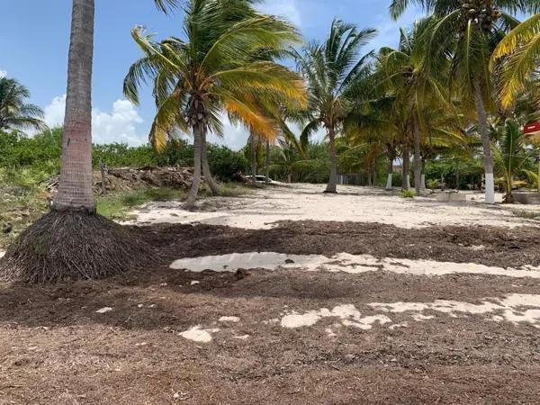 Terreno en venta frente a la Playa Santa Clara, Dzidzantún, Yucatán Mexico