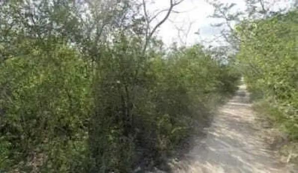 Terreno en venta en Xcunya, Mérida Yucatán