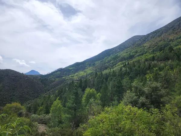 Terreno en Venta en Renacer de la Sierra Arteaga