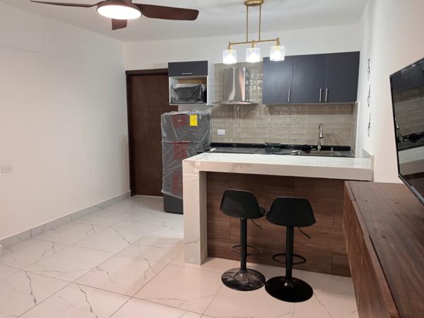 Departamentos  Ejecutivos en Renta en Ampliación La Rosita, Torreón