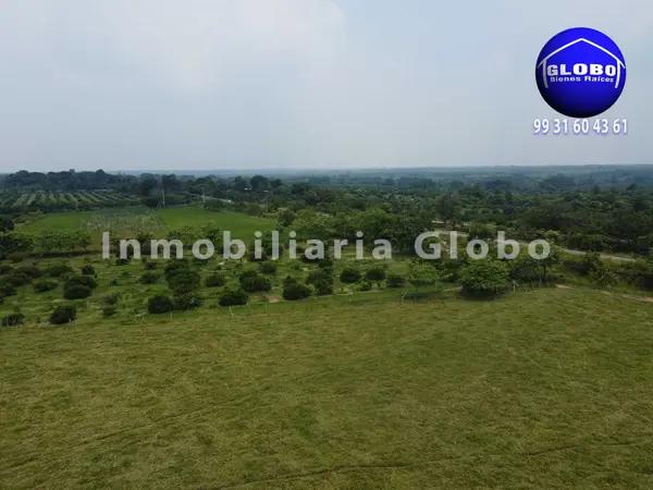 Rancho en venta, ganadero y agrícola. 78 hectáreas, zona alta no inundable, a 30 kms de Huimanguillo