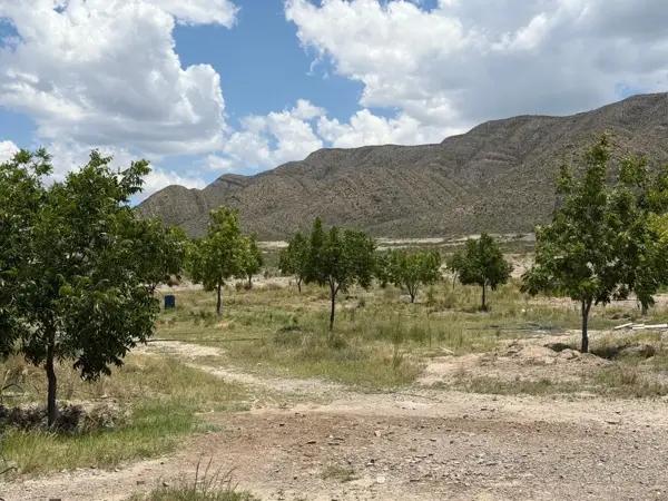 Finca-Rancho en venta en Parras, Parras, Coahuila de Zaragoza