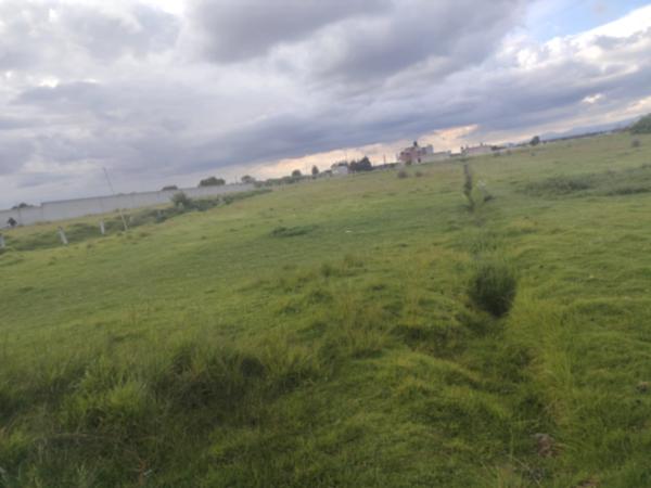 Terreno mide 1,600m2