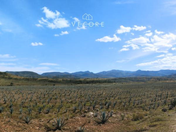 Terreno en venta en Ameca Centro, Ameca, Jalisco