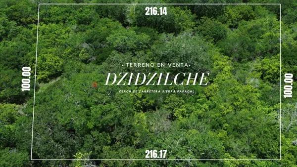 Terreno en Venta en Dzidzilché Terreno en Venta en Dzidzilché