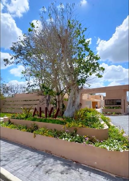 Terreno en Venta en Alma Residencial, Cholul