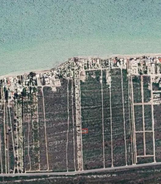 Terreno en Venta en Chicxulub Puerto Km 11.5