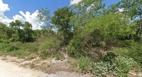Terreno en Venta en las Aves-Conkal, Yuc.