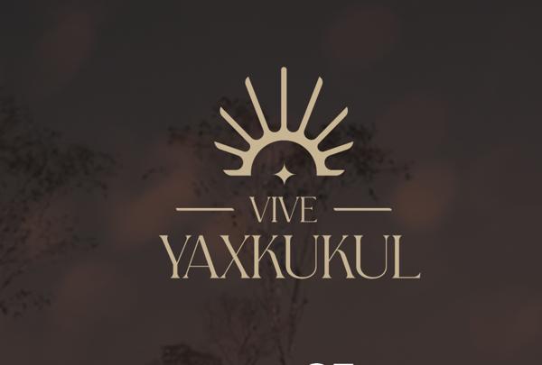 Terreno en Venta en Vive Yuxkukul