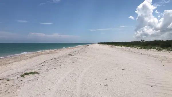 Terreno Frente al Mar en Venta en Celestún