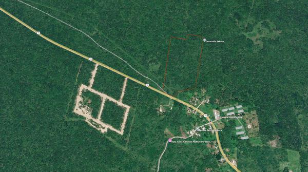 Terreno en Venta en Seyé sobre carretera (7 ha)