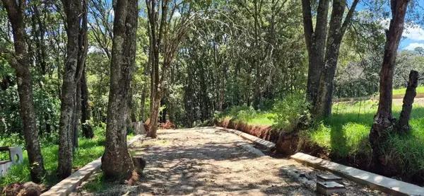 VIVE RODEADO DE NATURALEZA, A MINUTOS DE ZONA ESMERALDA ??