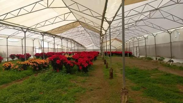 TERRENO EN RENTA ATLIXCO PUEBLA