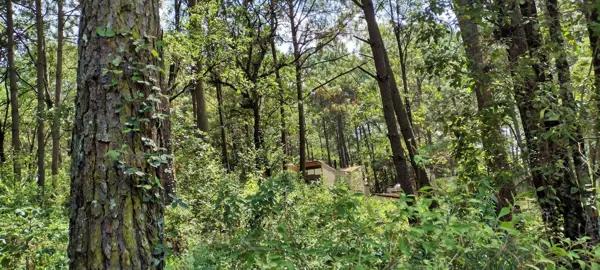 Venta de Terreno Habitacional en Avandaro, camino a Cerro Gordo, Valle de Bravo