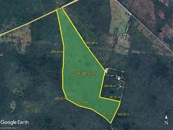 Terreno en Venta sobre Periférico de Valladolid – 50.4 Hectáreas
