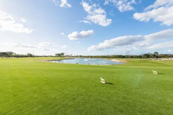 Terreno(304) En Venta Frente al campo de Golf en Provincia Terreno(304) En Venta Frente al campo de Golf en Provincia