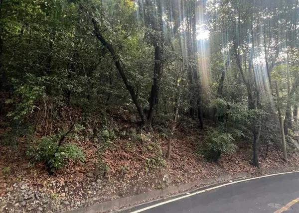 Terreno en Venta en Olinalá en San Pedro Garza García.