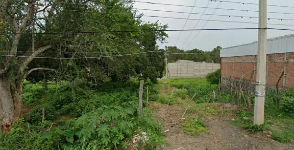 Grupo Inmobiliario Tec Home VENDE terreno frente a la Cruz misionera en Tecolotlan, Jalisco