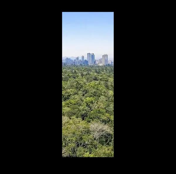 Terreno en venta en San Miguel Chapultepec I Sección, Miguel Hidalgo, Ciudad de México