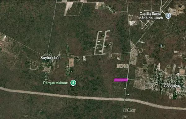 LOTE EN VENTA DE 1 HECTÁREA SOBRE CARRETERA MÉRIDA CHUBURNÁ-SIERRA PAPACAL