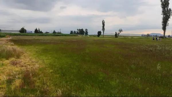 Lotes en santa cruz cuahutenco
