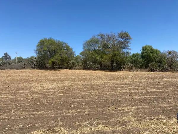 TERRENO EN VENTA EN NOPALA DE VILLAGRAN HIDALGO TERRENO EN VENTA EN NOPALA DE VILLAGRAN HIDALGO