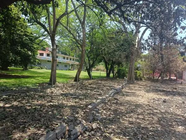 Últimos terrenos con vigilancia y amenidades.
