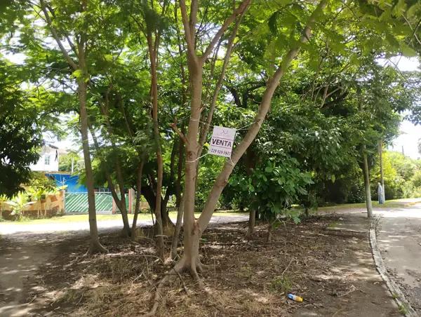 TERRENO  HABITACIONAL - USO MIXTO