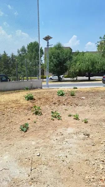 BAJA DE PRECIO exclusivo Terreno en Venta en Bosque Real junto al Campo Ejecutivo
