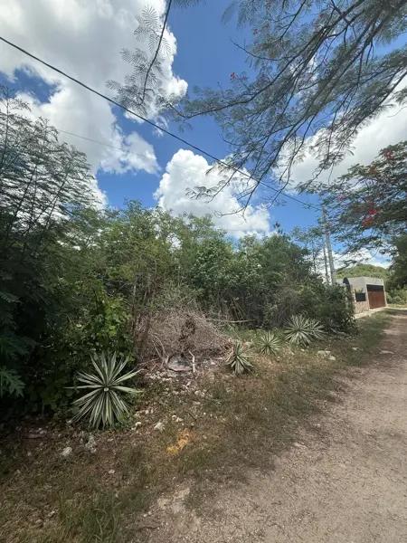 TERRENO EN JALAPA CHOLUL, YUCATAN