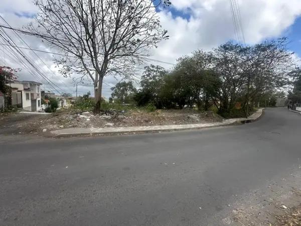 TERRENO EN RENTA( Miradores Homex)