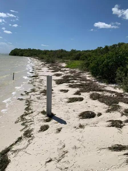 TERRENO EN HOLBOX CALETA FRENTE AL MAR