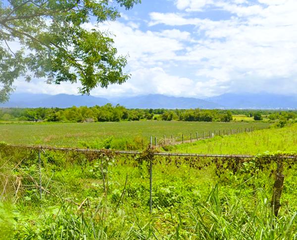 Nayarit Bahía De Banderas Terreno en Venta