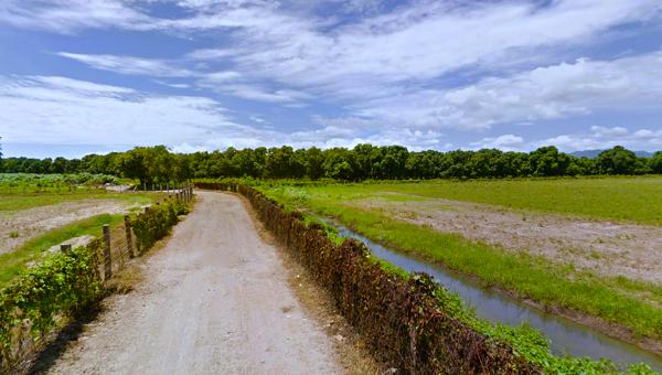 San Jose Del Valle Nayarit Terreno En Venta