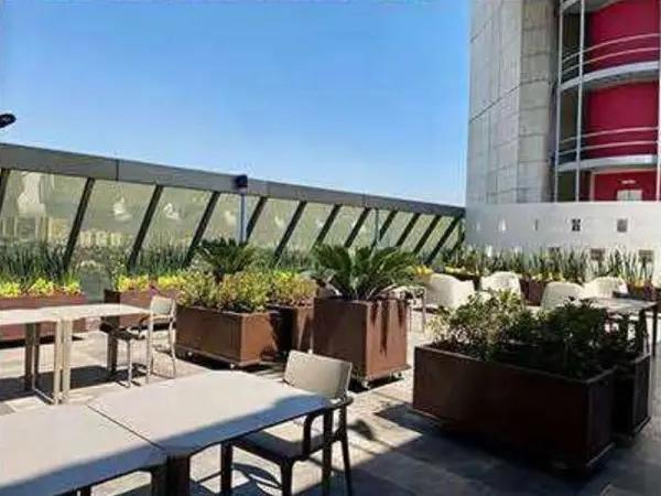 LOMAS ALTAS RENTA OFICINAS MIGUEL HIDALGO CDMX