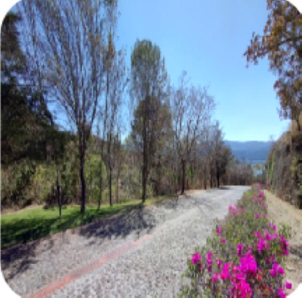 PAQUETE VENTA DE TERRENOS, El Santuario, Valle De Bravo Estado De México