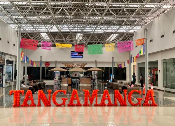 PLAZA TANGAMANGA LOCAL COMERCIAL VENTA SAN LUIS POTOSI