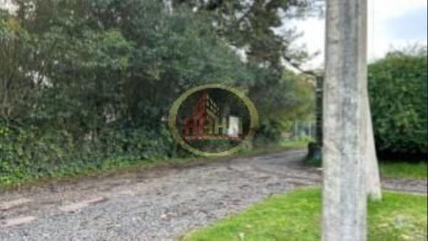 MORELOS TERRENO EN VENTA HUITZILAC
